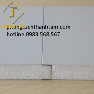 Panel EPS